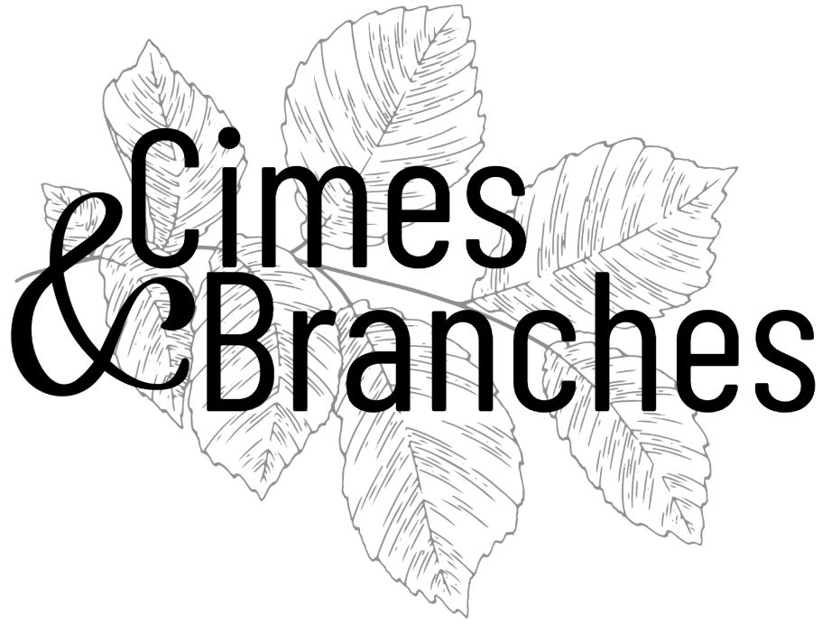 Logo Cimes et Branches, arboriste grimpeur elagueur